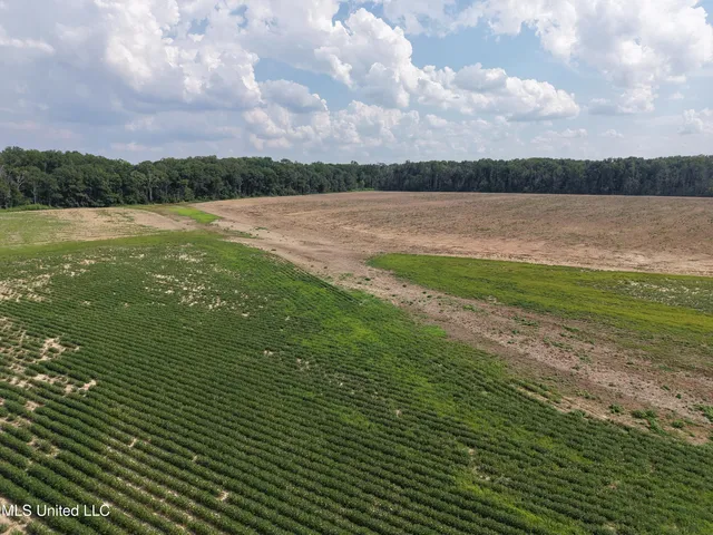 $594,000 | St Bayou Road, Anguilla, MS 38721