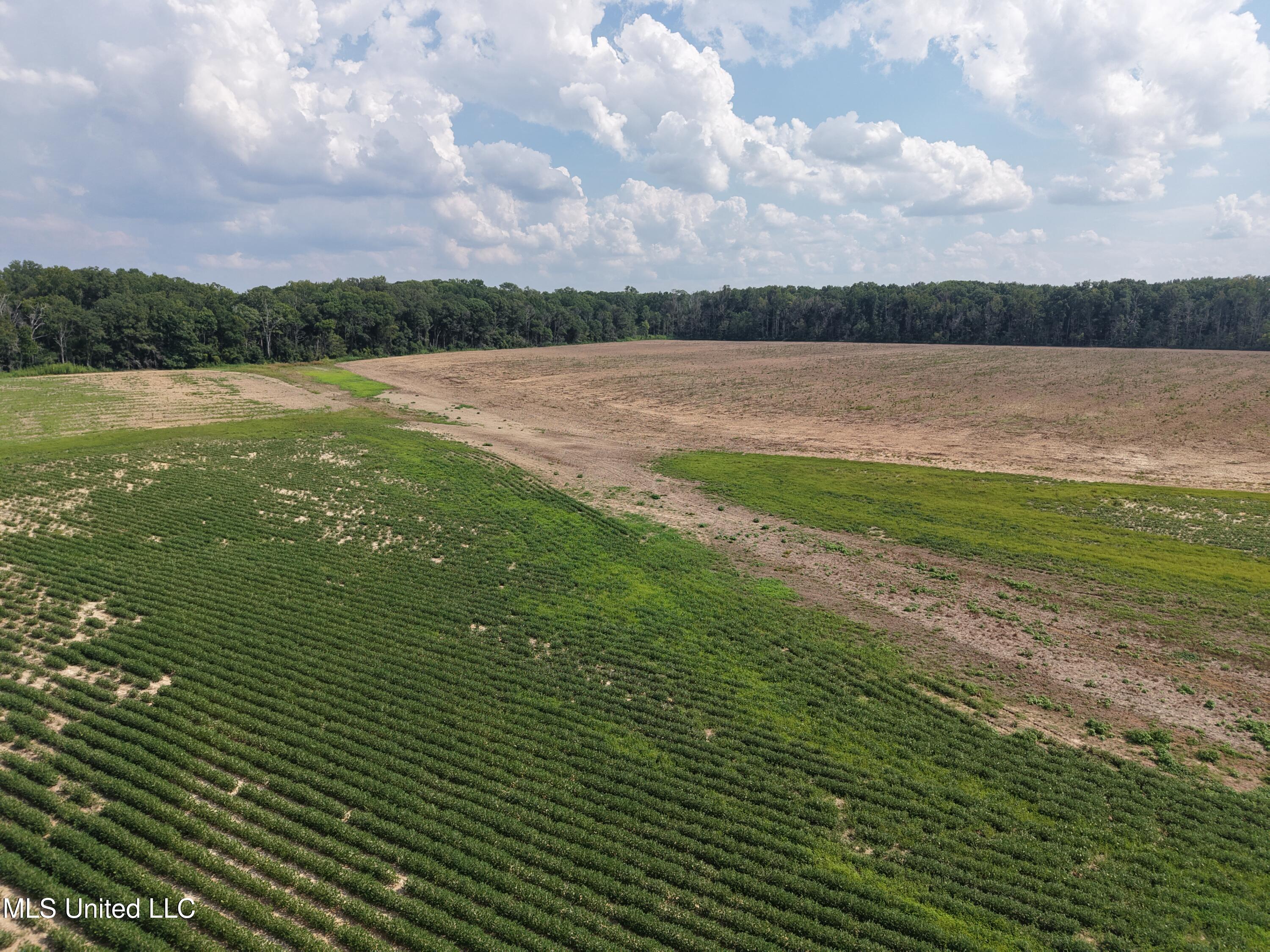 St Bayou Road Anguilla, MS 38721 - Photo 7 of 14 DJI_20250903150312_0023_D