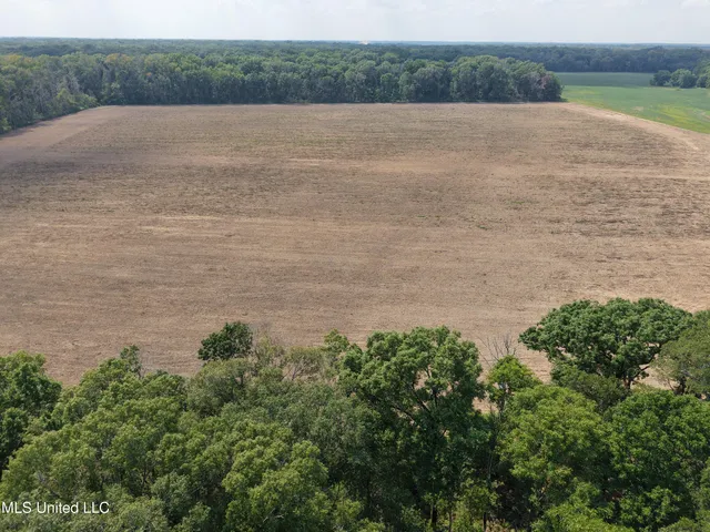 $594,000 | St Bayou Road, Anguilla, MS 38721