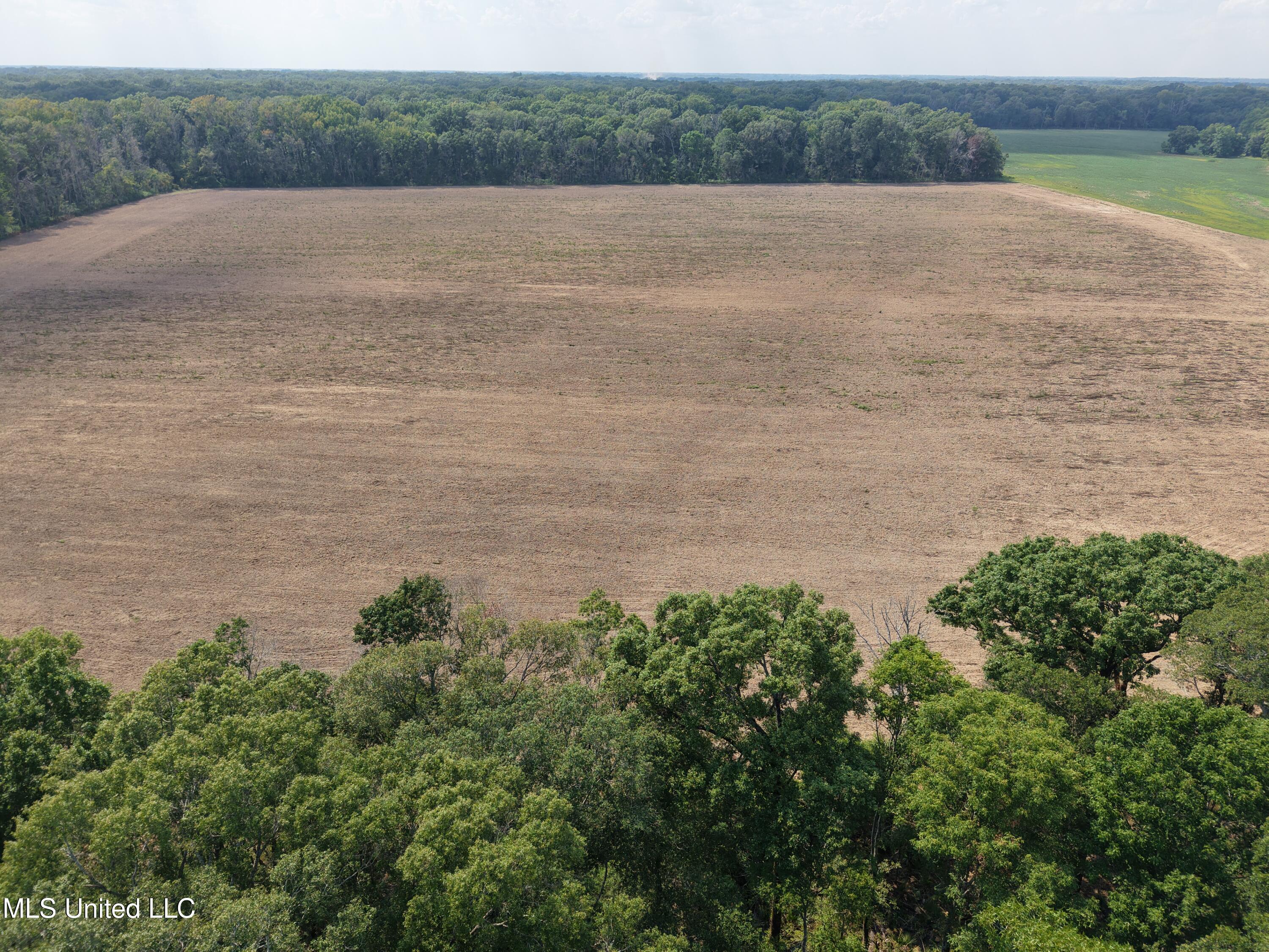 St Bayou Road Anguilla, MS 38721 - Photo 9 of 14 DJI_20250903150421_0028_D