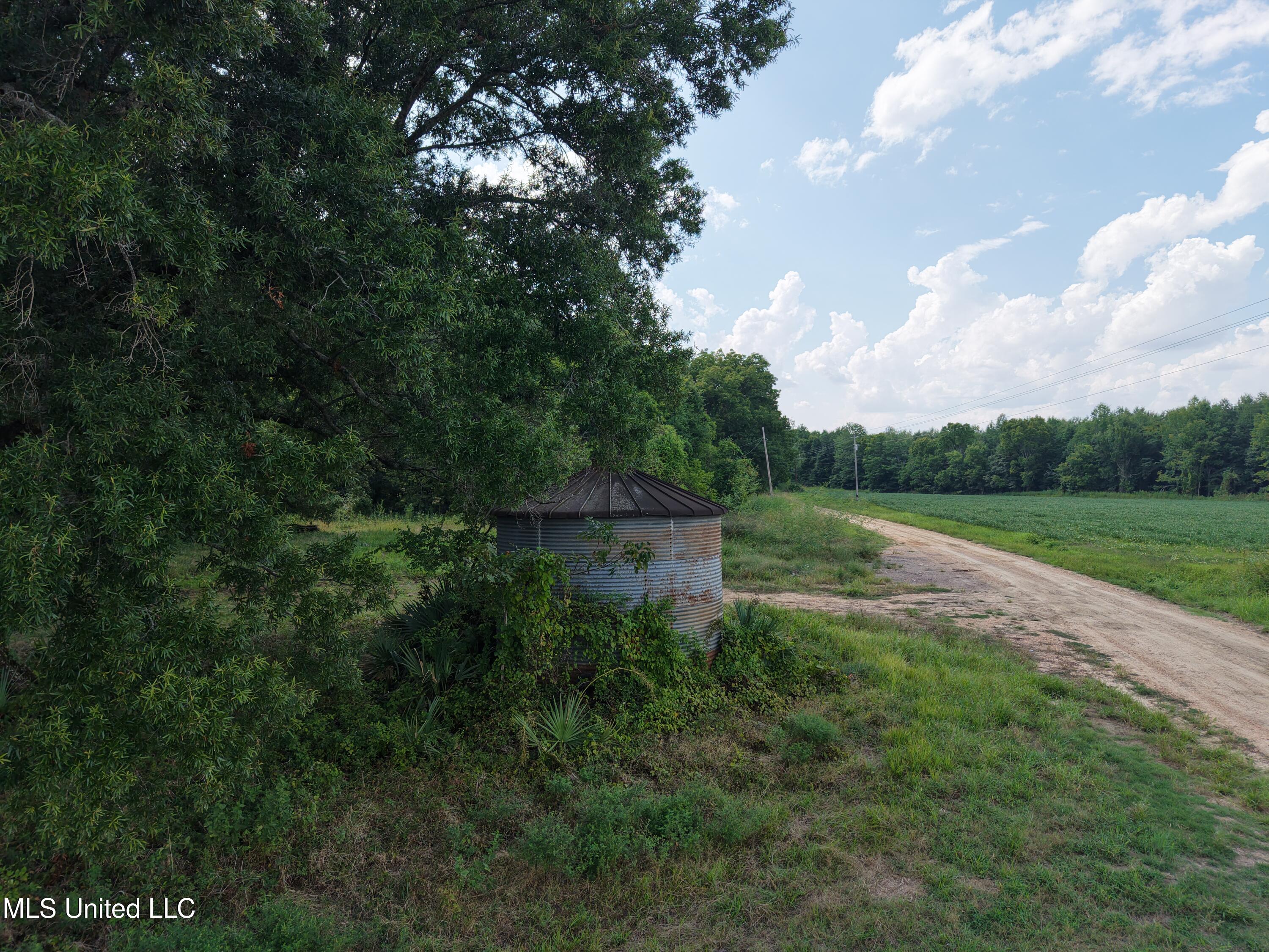 St Bayou Road Anguilla, MS 38721 - Photo 10 of 14 DJI_20250903150706_0030_D