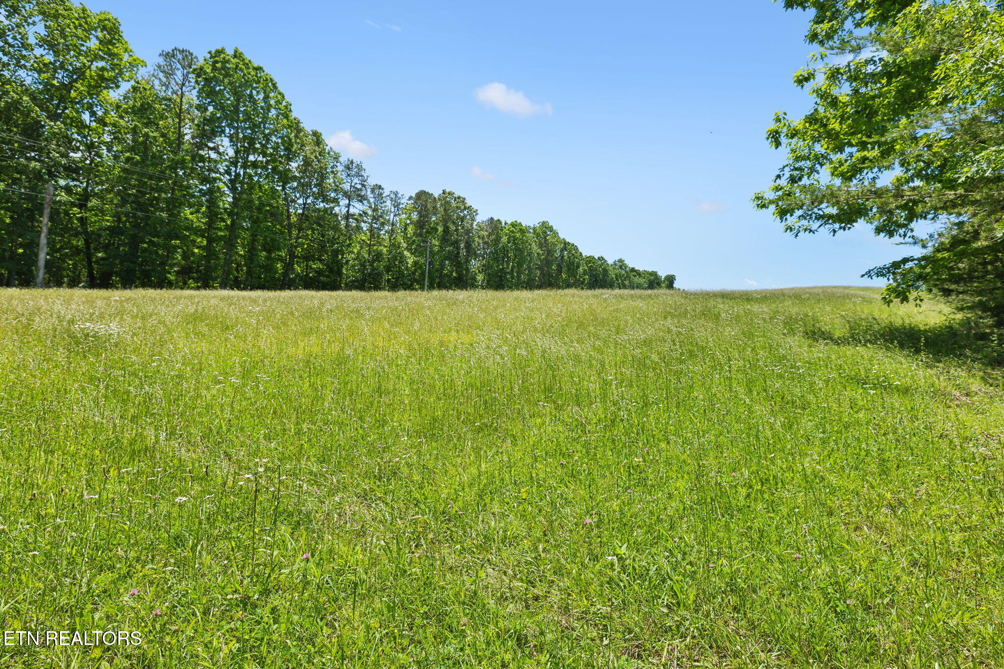 1460 Big Neck Road Grandview, TN 37337 - Photo 5 of 32 Rolling Fields