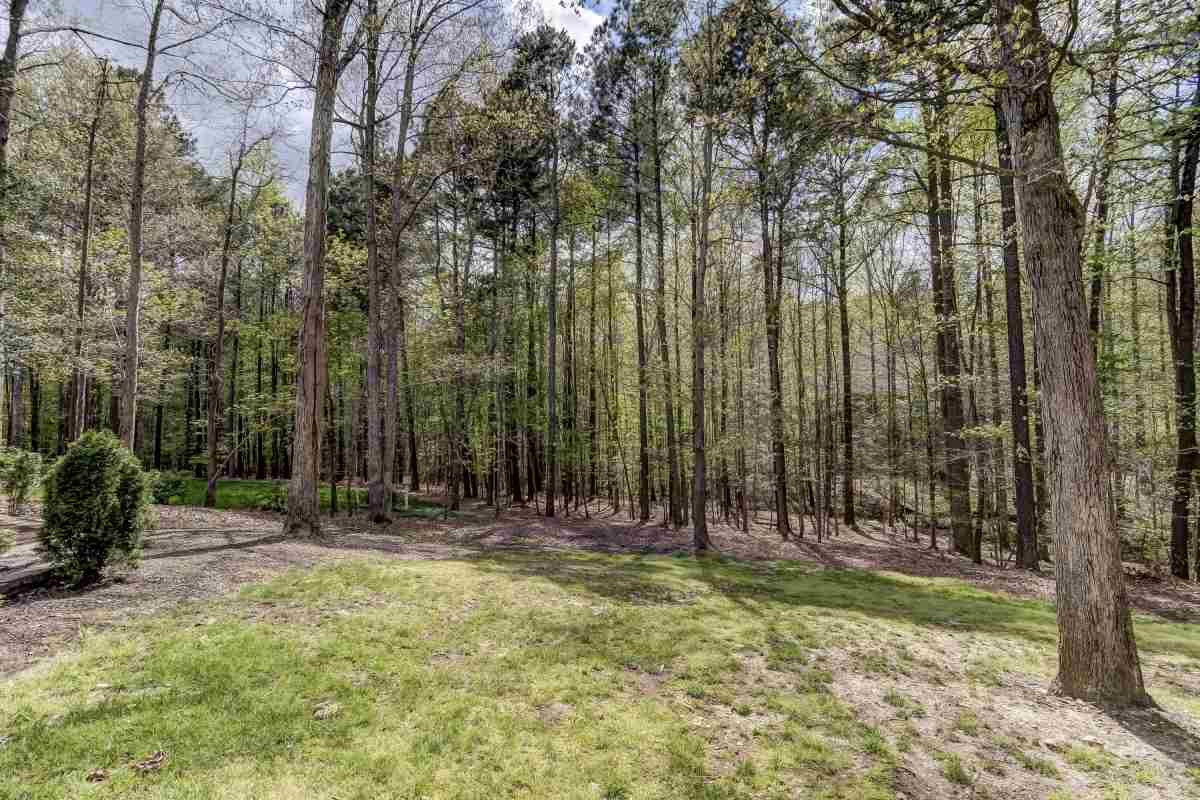 7113 Millstone Ridge Court Raleigh, NC 27614 - Photo 24 of 25 Photo 24