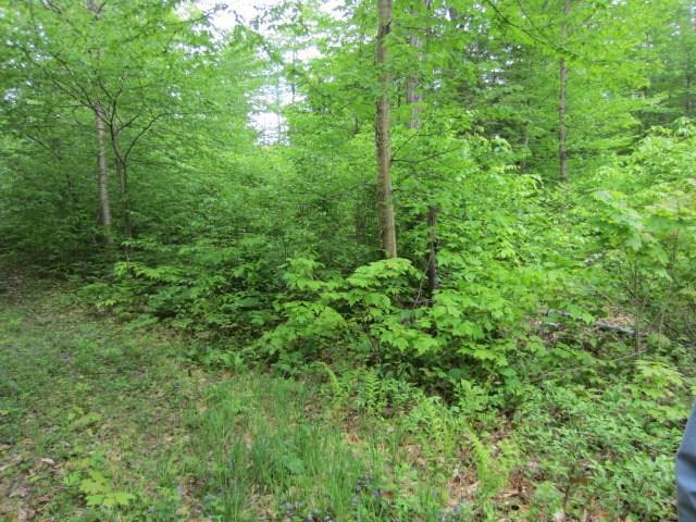 284 Gagnon Road Madawaska, ME 04756 - Photo 10 of 24 Photo