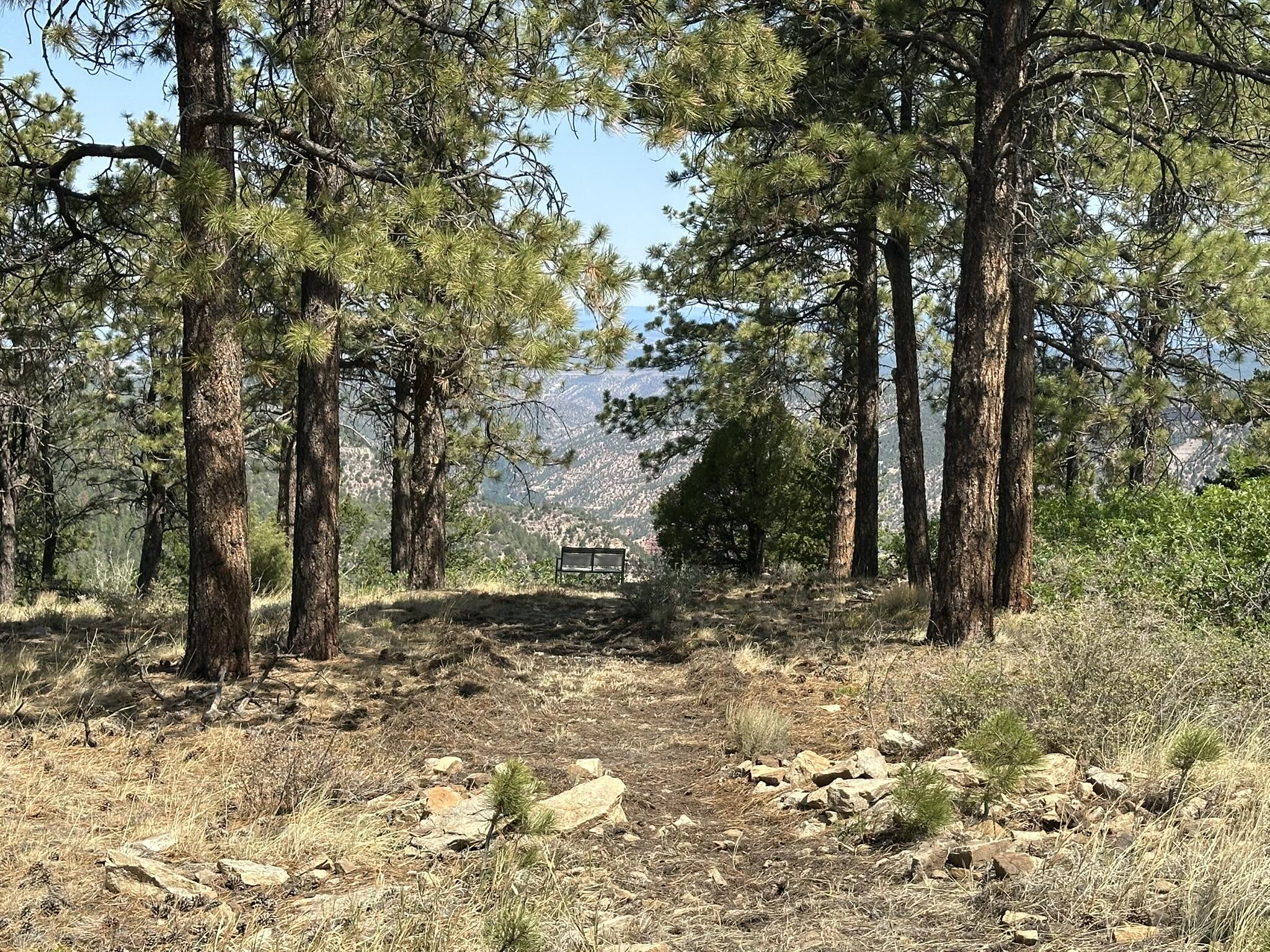 135 Canyon Rim Loop Placerville, CO 81430 - Photo 52 of 61 Walk to the West