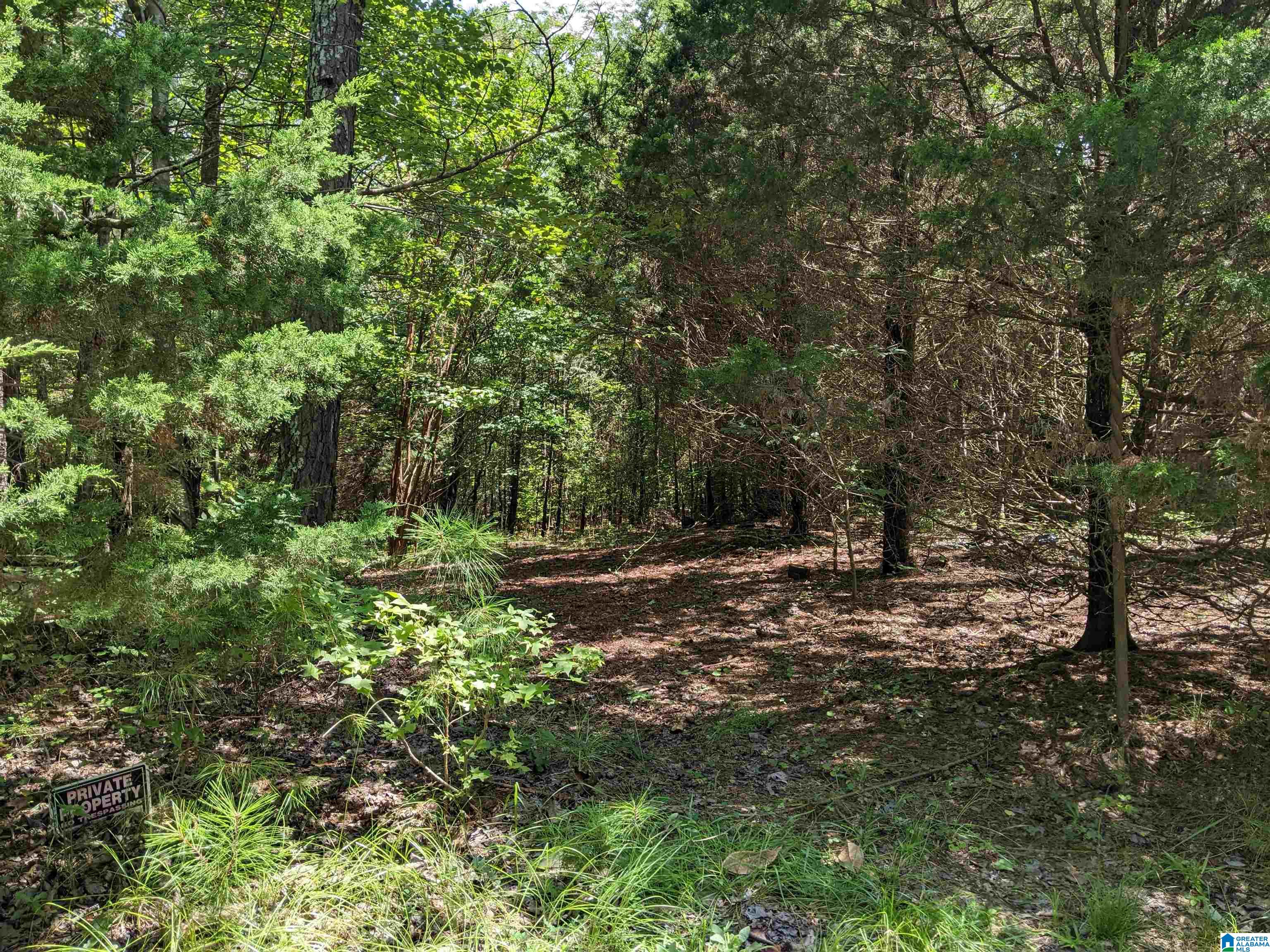 0 Cedar Creek Road, Unit 12804 Odenville, AL 35120 - Photo 2 of 3