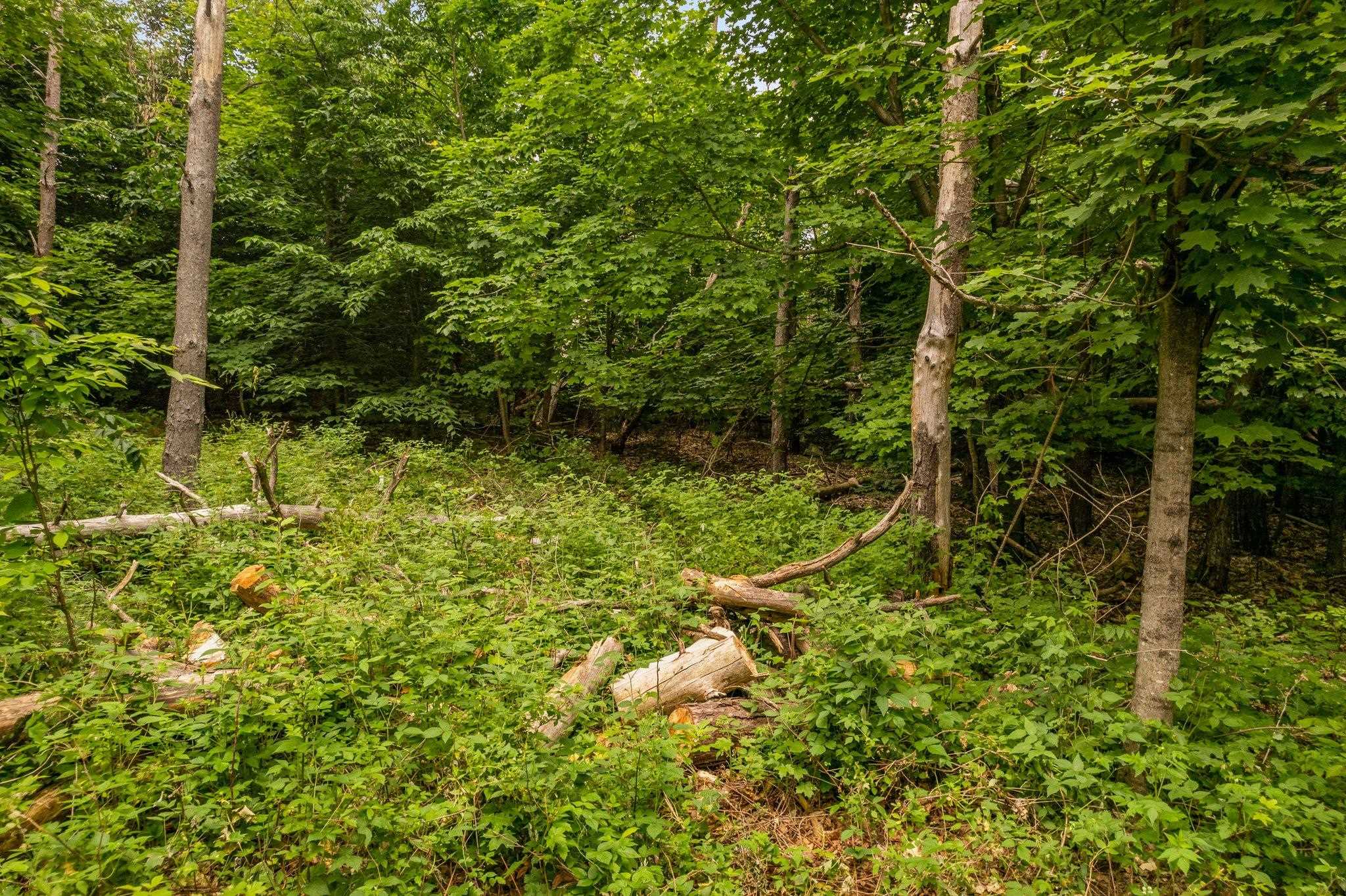 0 Narrow Gauge Road Beulah, MI 49617 - Photo 10 of 11