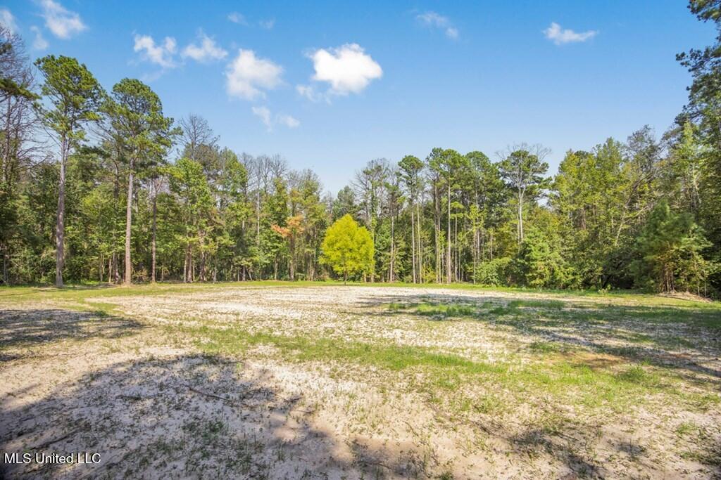 3 Cole Road Crosby, MS 39633 - Photo 11 of 30 143021_7