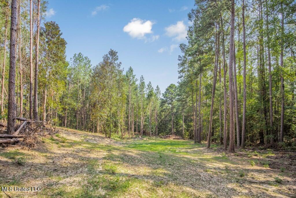 3 Cole Road Crosby, MS 39633 - Photo 12 of 30 143021_8