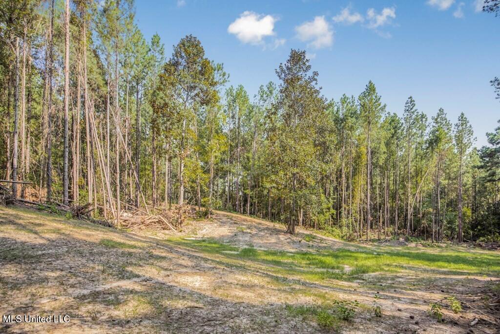 3 Cole Road Crosby, MS 39633 - Photo 13 of 30 143021_9