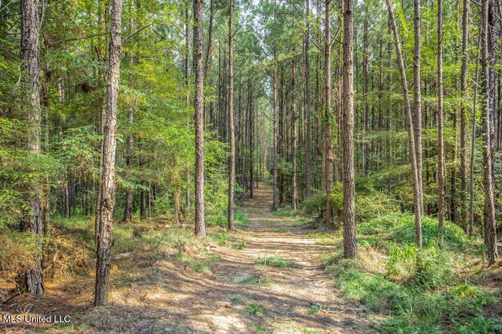3 Cole Road Crosby, MS 39633 - Photo 14 of 30 143021_12
