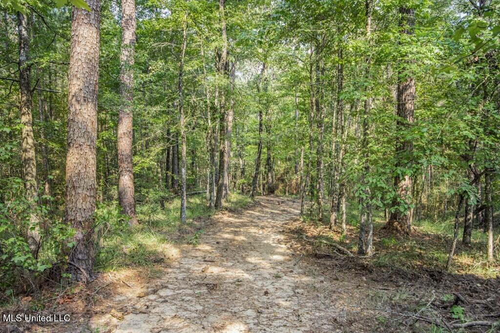 3 Cole Road Crosby, MS 39633 - Photo 15 of 30 143021_13