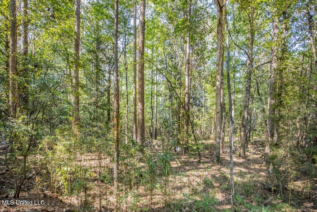 3 Cole Road Crosby, MS 39633 - Photo 16 of 30 143021_14