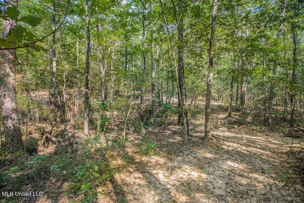 3 Cole Road Crosby, MS 39633 - Photo 17 of 30 143021_15