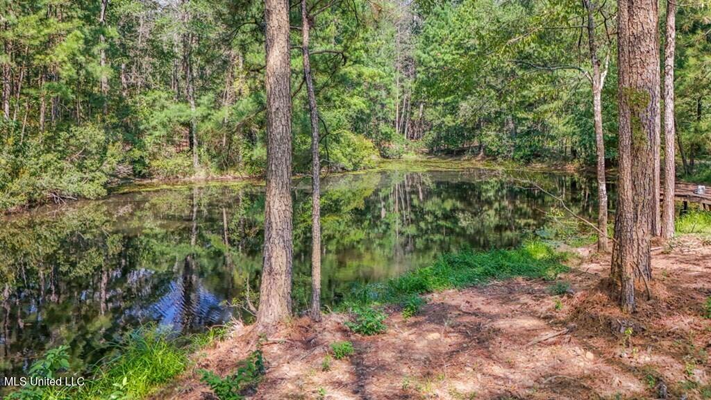 3 Cole Road Crosby, MS 39633 - Photo 20 of 30 143021_20
