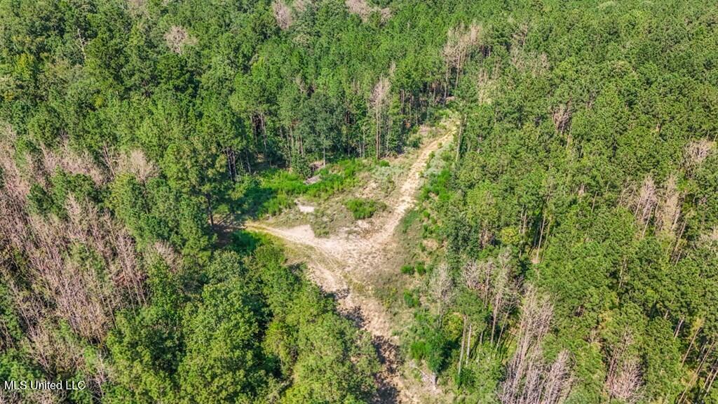 3 Cole Road Crosby, MS 39633 - Photo 21 of 30 143021_24