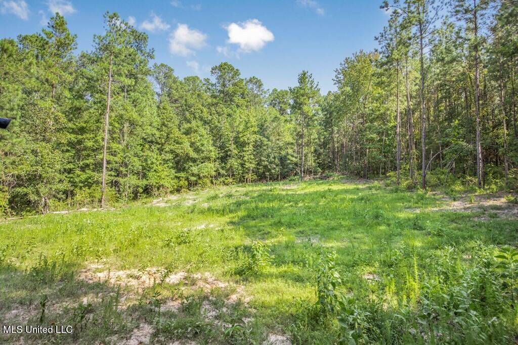 3 Cole Road Crosby, MS 39633 - Photo 22 of 30 143021_10