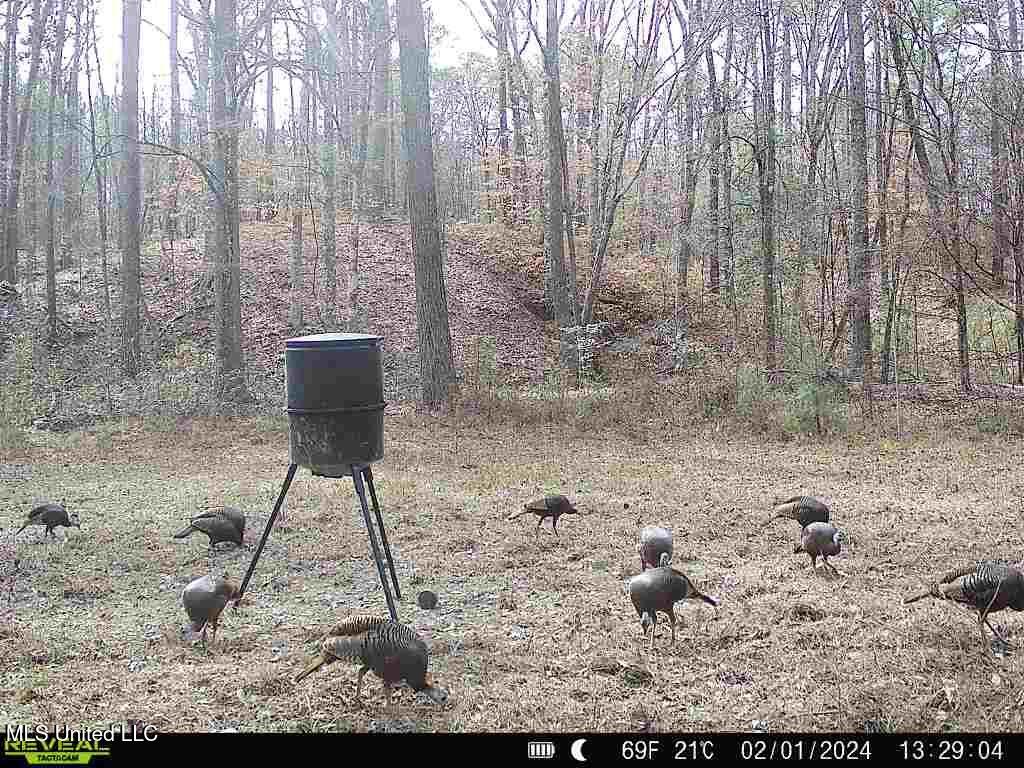 3 Cole Road Crosby, MS 39633 - Photo 23 of 30 IMG_1033