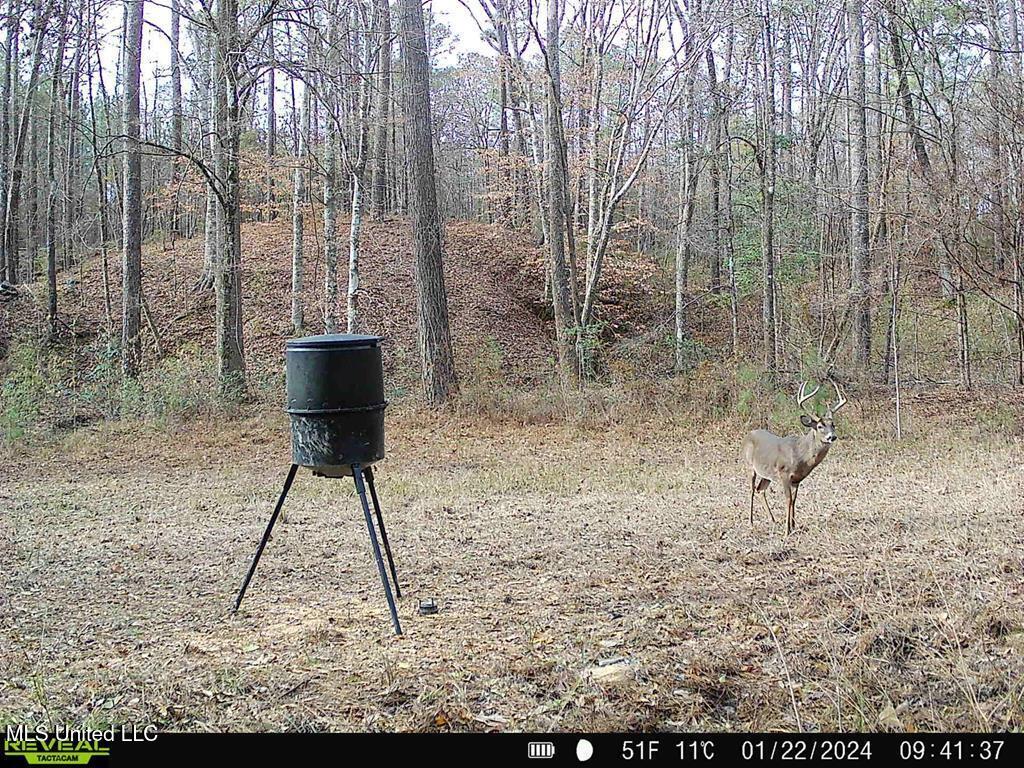 3 Cole Road Crosby, MS 39633 - Photo 24 of 30 143021_27