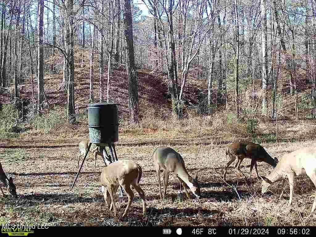 3 Cole Road Crosby, MS 39633 - Photo 25 of 30 143021_28