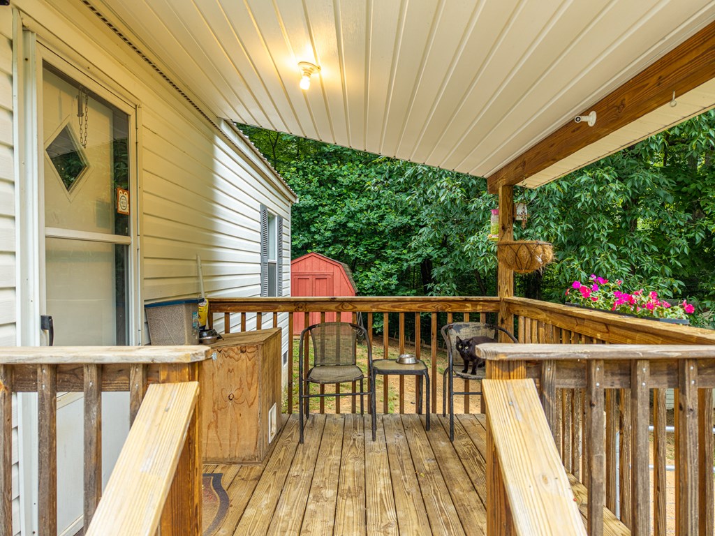 4308 Scott Brown Road Southeast Fairmount, GA 30139 - Photo 3 of 34