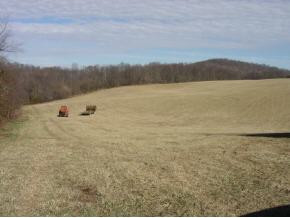 15 Reedy Creek Road, Unit 15 Bristol, VA 24202 - Photo 3 of 9 Photo 3