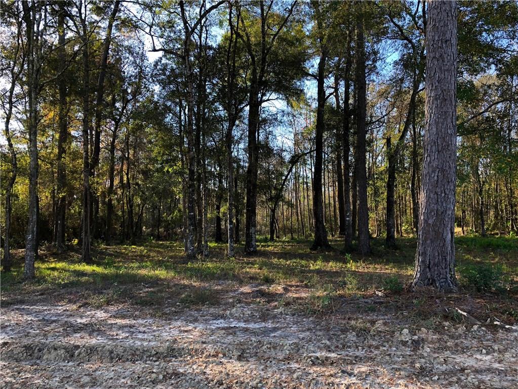 1-1 Goos Road Lake Charles, LA 70611 - Photo 12 of 23 Gallery Image 12
