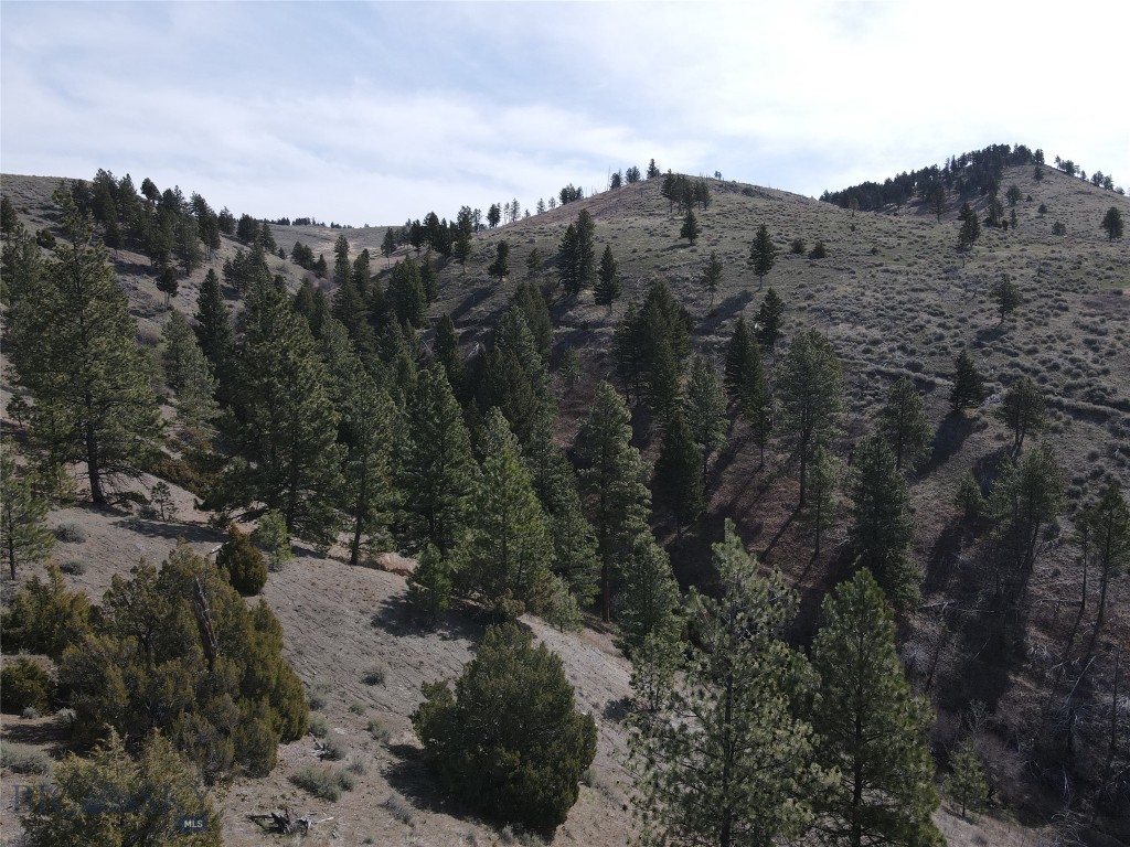55 Upper Ross Gulch Road Townsend, MT 59644 - Photo 2 of 18 Gallery Image 2