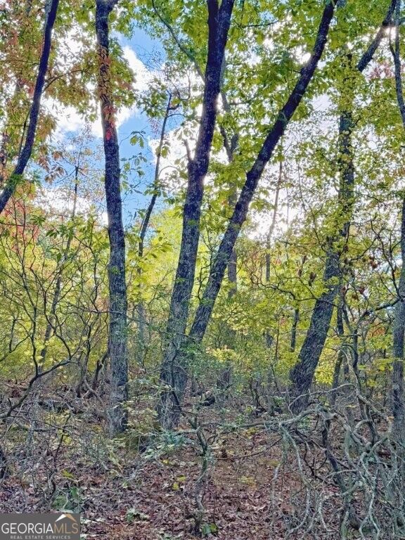 0 Fox Mountain Road Marston, NC 28363 - Photo 7 of 11 Gallery Image 7