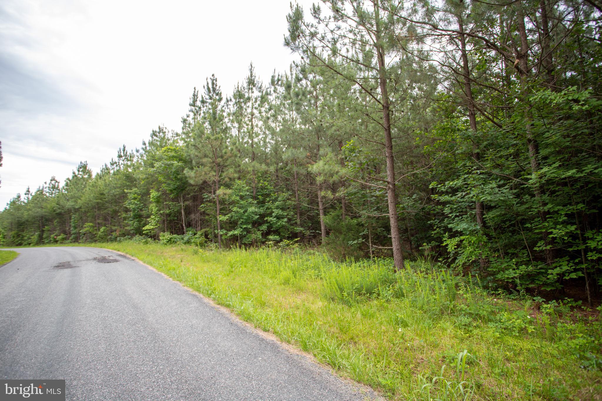 Tbd Trents Cemetery Road, Unit LOT 6 Phenix, VA 23959 - Photo 13 of 19