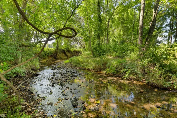 a view of a lake with a mountain in the background