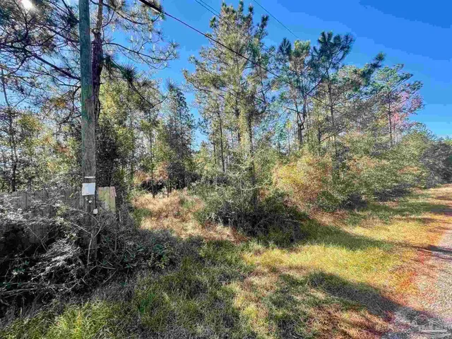 a view of a yard with a tree