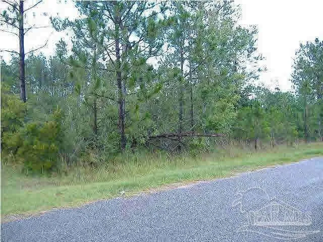 a view of a lake with a forest