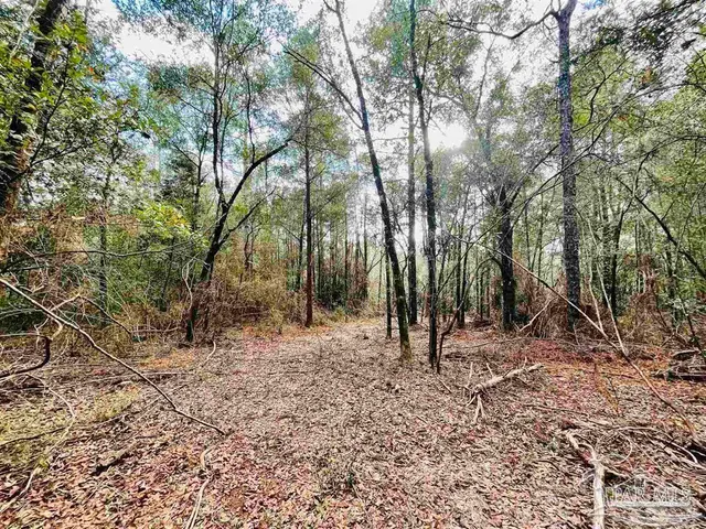a view of outdoor space with trees