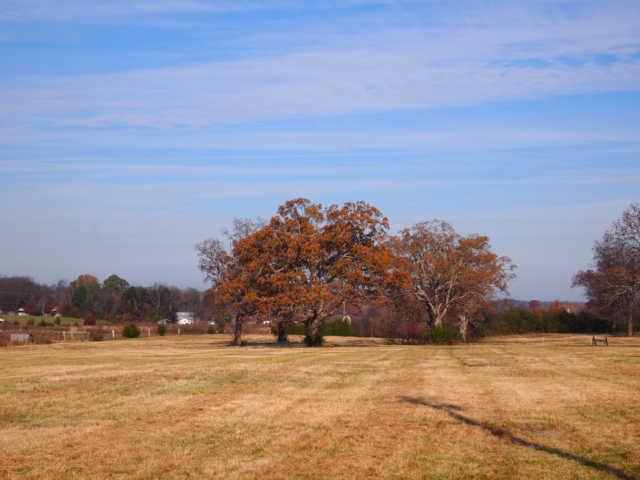 9 Rome Pike Lebanon, TN 37087 - Photo 1 of 12 Gallery Image 1