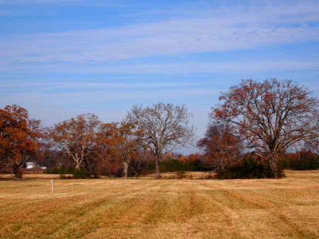 9 Rome Pike Lebanon, TN 37087 - Photo 7 of 12 Gallery Image 7