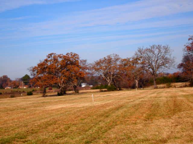 9 Rome Pike Lebanon, TN 37087 - Photo 10 of 12 Gallery Image 10