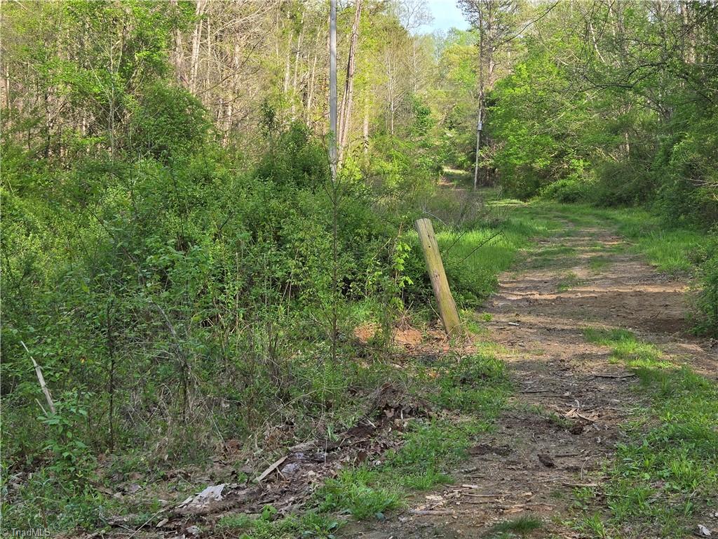 0 Hoover Hill Road Asheboro, NC 27205 - Photo 20 of 29
