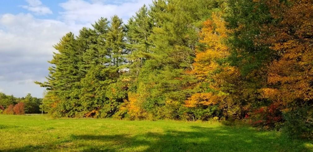 Tbd Sandy River Road Norridgewock, ME 04957 - Photo 4 of 12 Photo