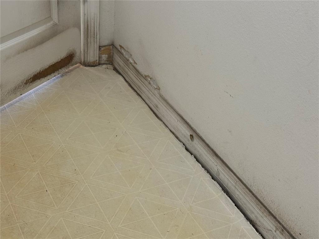 13326 Sproston Point Orlando, FL 32832 - Photo 46 of 50