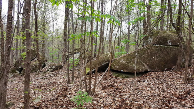 0 Mack Shack Road Washington, GA 30673 - Photo 1 of 1 Main View