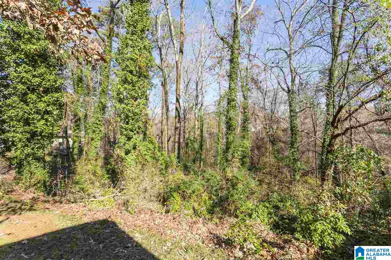 165 Kennilworth Road Bessemer, AL 35023 - Photo 10 of 39