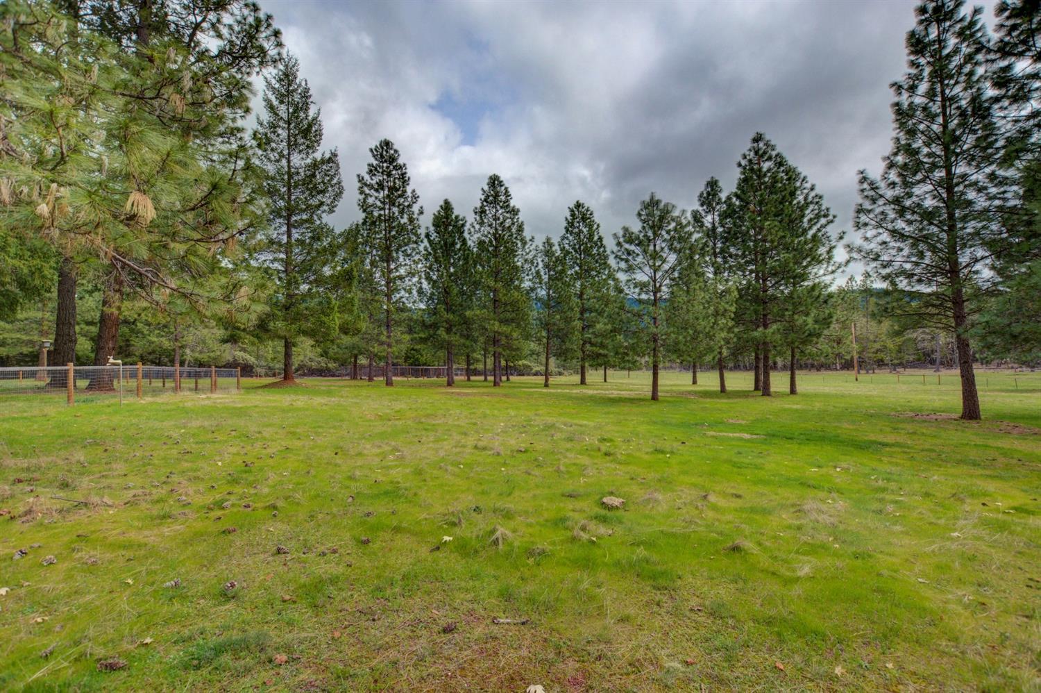 650 Onion Mountain Road Wilderville, OR 97543 - Photo 23 of 34 a view of outdoor space with deck and trees