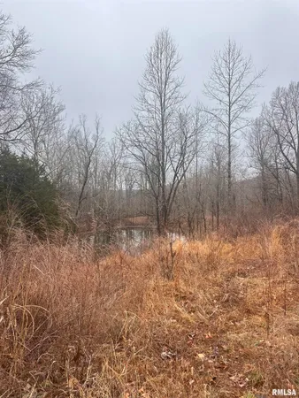 $35,000 | 4763 Highway 127, Cobden, IL 62920
