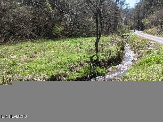 760 Black Branch Road Del Rio, TN 37727 - Photo 15 of 16 760 Black Branch Rd