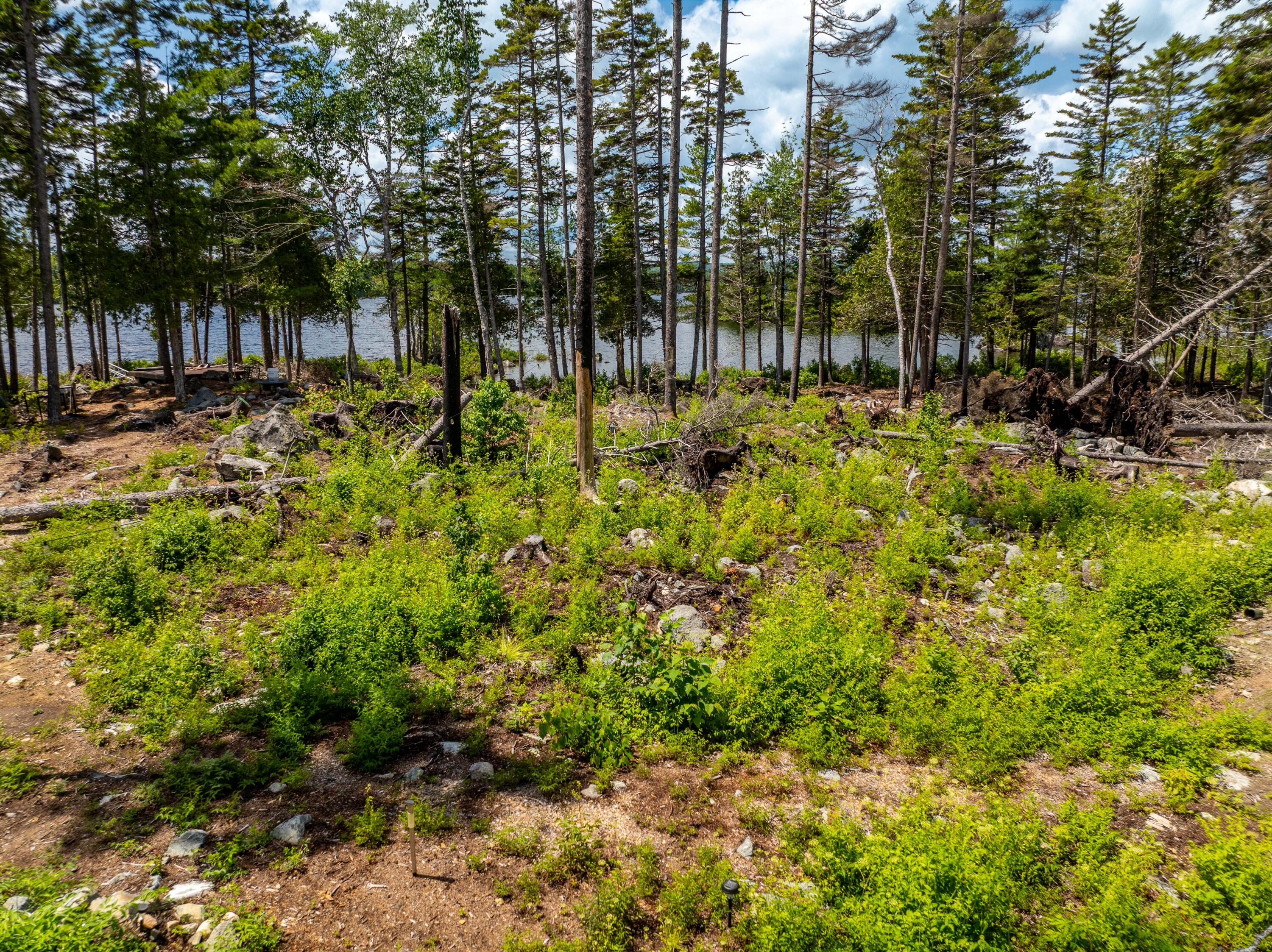313 Birch Pt Road Cooper, ME 04657 - Photo 26 of 50 Lot H - Lot 049-15-8 Cathance Lake , Co