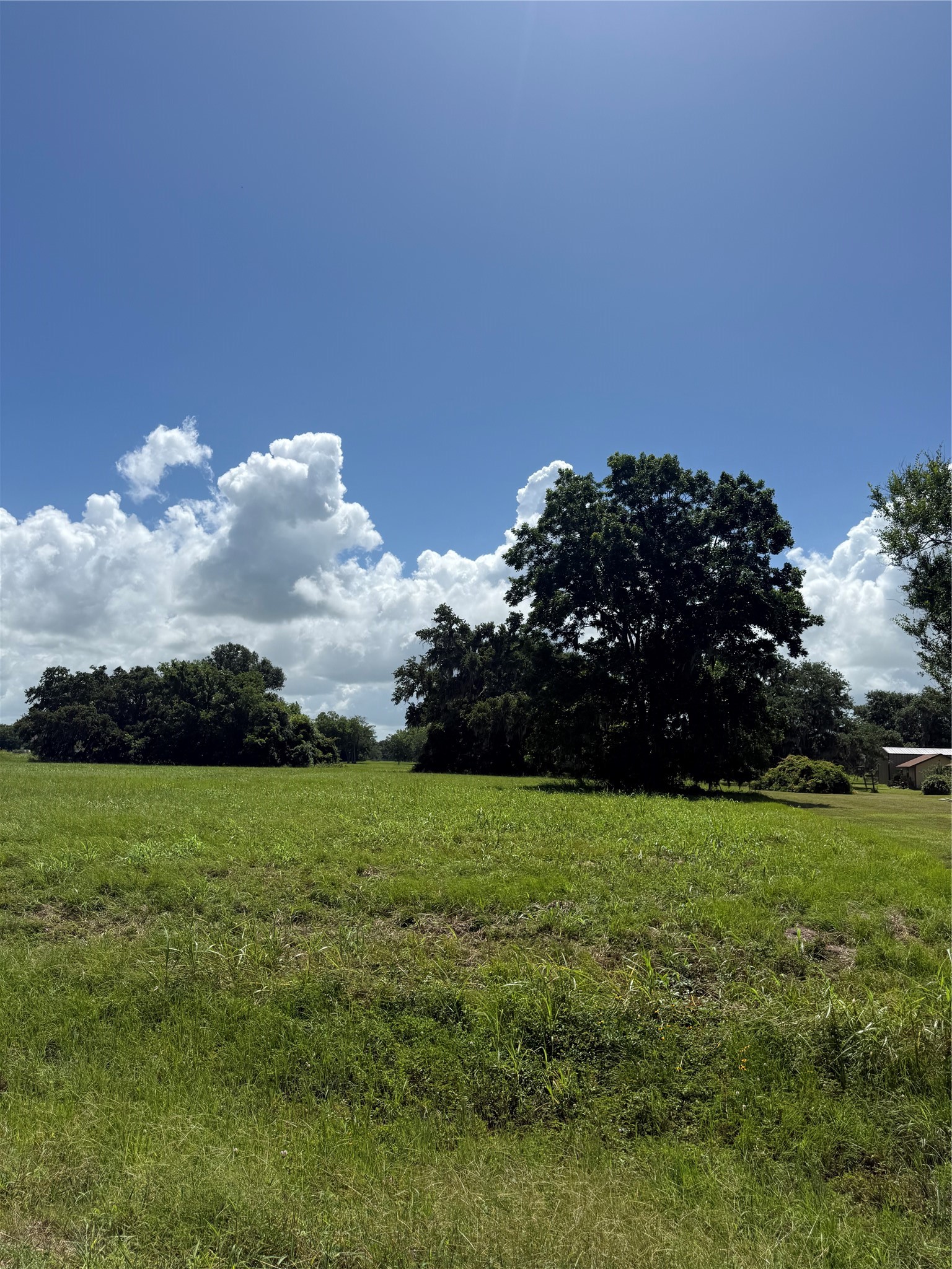 1149 Frontier Trail Angleton, TX 77515 - Photo 3 of 6