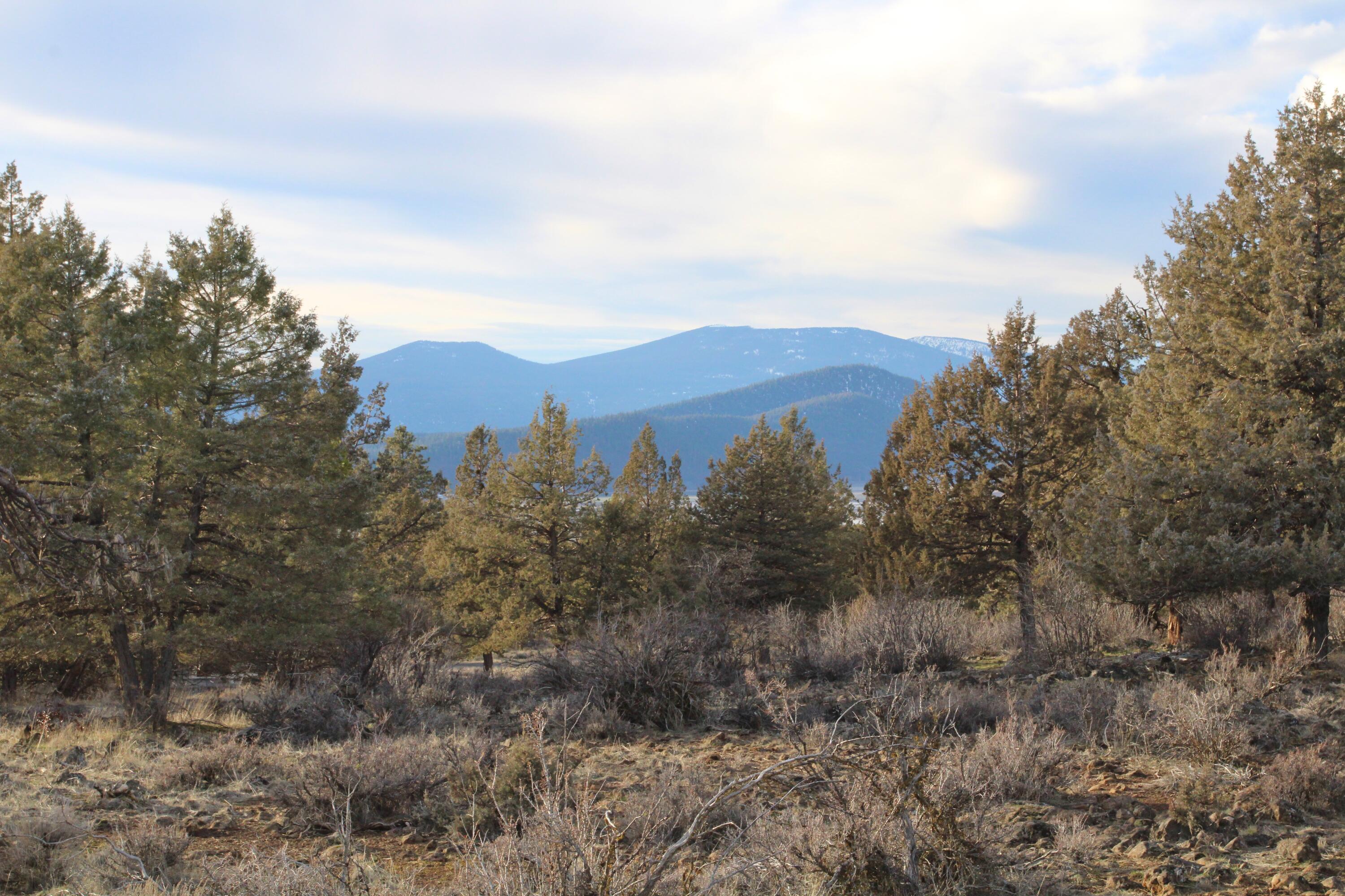 940 Bailey Mountain Road Klamath Falls, OR 97601 - Photo 8 of 17 940 Bailey Mountain 170