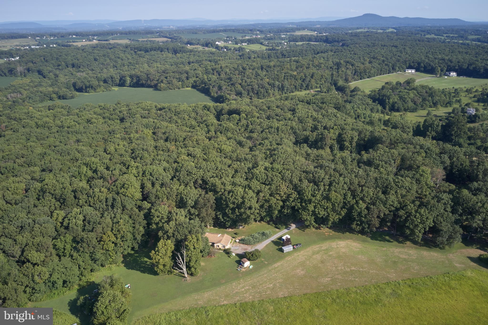 17620 Moore Road Poolesville, MD 20837 - Photo 8 of 10