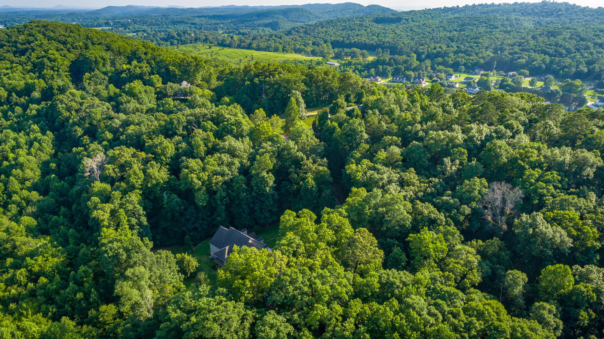 98 Etowah Ridge Ringgold, GA 30736 - Photo 124 of 124 98 Etowah Ridge HD-142